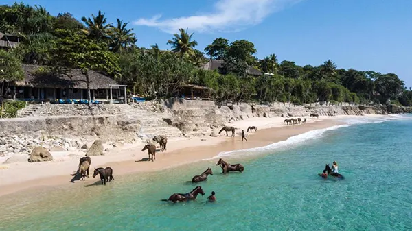 Sumba waterfalls